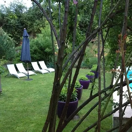 L'arcane Du Bellay Frühstückspension Montreuil-Bellay